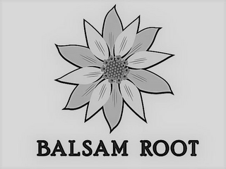 BALSAM ROOT logo