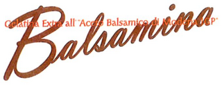 BALSAMINA GELATINA EXTRA ALL' ACETO BALSAMICO DI MODENA IGP logo