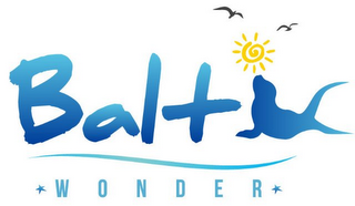 BALTIC WONDER logo