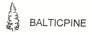 BALTICPINE logo