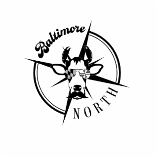 BALTIMORE NORTH logo