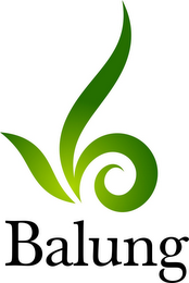 BALUNG logo