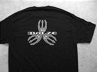 BALZE logo