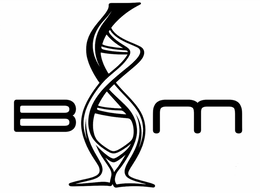 BAM logo