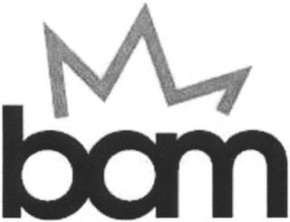 BAM logo