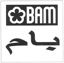 BAM logo