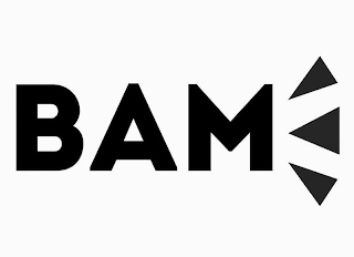 BAM logo