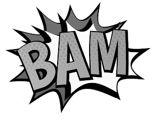BAM logo
