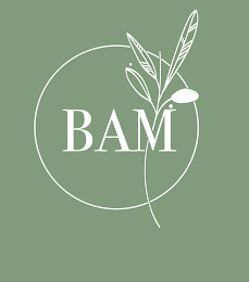 BAM logo