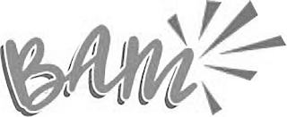 BAM logo
