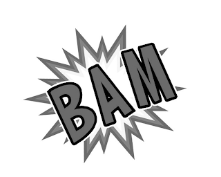 BAM logo
