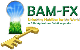 BAM-FX UNLOCKING NUTRITION FOR THE WORLD A BAM AGRICULTURAL SOLUTIONS PRODUCT logo