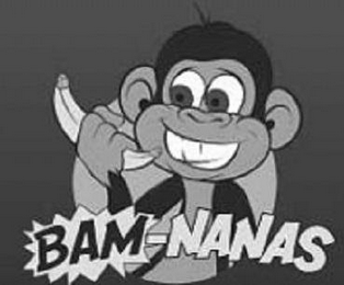 BAM-NANAS logo