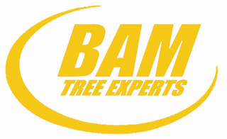 BAM TREE EXPERTS logo