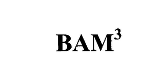 BAM3 logo