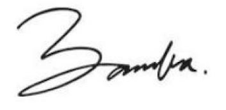 BAMBA. logo