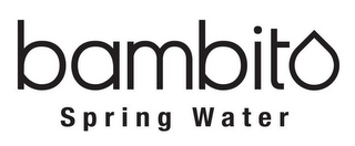 BAMBITO SPRING WATER logo
