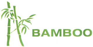 BAMBOO logo