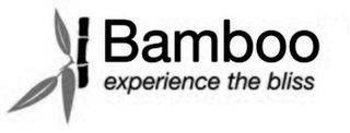BAMBOO EXPERIENCE THE BLISS logo