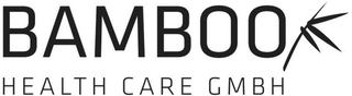 BAMBOO HEALTH CARE GMBH logo
