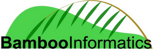 BAMBOOINFORMATICS logo