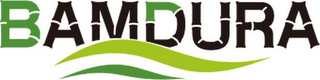 BAMDURA logo
