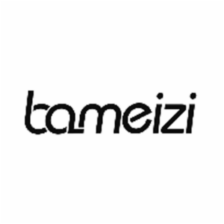 BAMEIZI logo