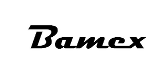 BAMEX logo