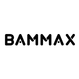 BAMMAX logo