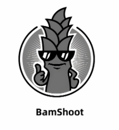 BAMSHOOT logo