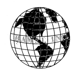 BAMSI, INC. logo