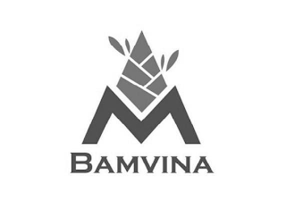 BAMVINA logo