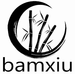 BAMXIU logo