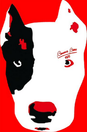 BANANA BENZ 1978 logo