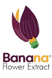 BANANA FLOWER EXTRACT logo