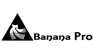 BANANA PRO logo