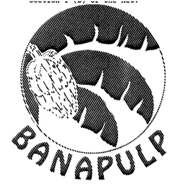 BANAPULP logo