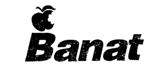 BANAT logo