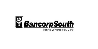 BANCORPSOUTH RIGHT WHERE YOU ARE logo