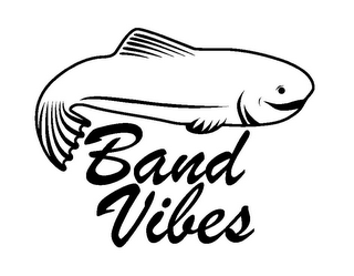 BAND VIBES logo