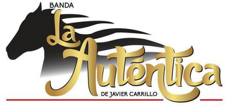 BANDA LA AUTENTICA DE JAVIER CARRILLO logo