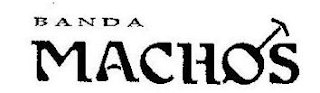 BANDA MACHOS logo