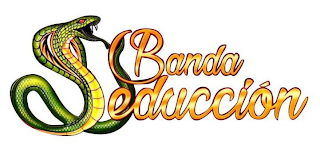 BANDA SEDUCCION logo