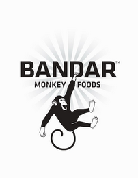BANDAR MONKEY FOODS logo