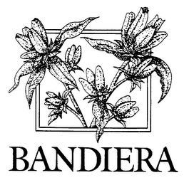 BANDIERA logo