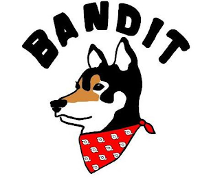 BANDIT logo