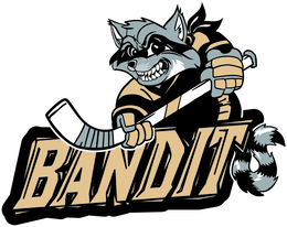 BANDITS logo