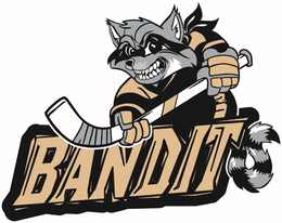 BANDITS logo