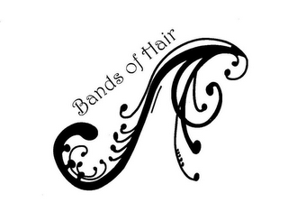 BANDS OF HAIR logo