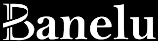 BANELU logo
